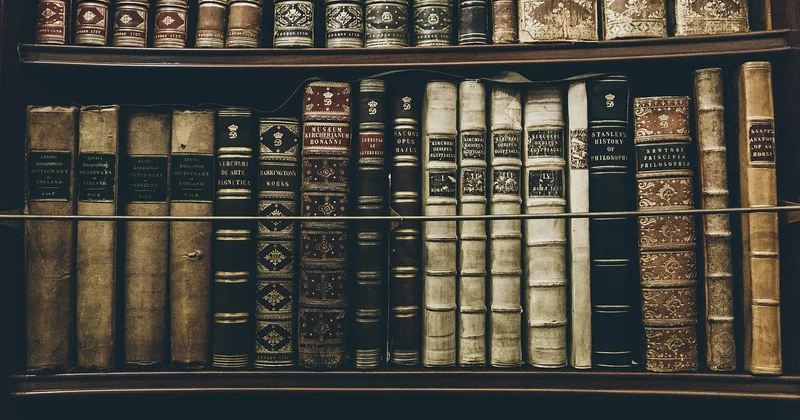 L'humilité et la capacité à apprendre : qualités essentielles d'un bon leader